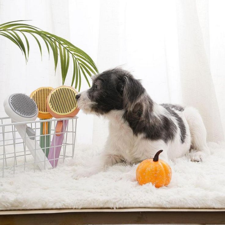 CEPILLO PARA MASCOTAS