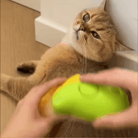 Cepillo Vaporizador 3 en 1 Para Mascota