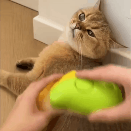 Cepillo Vaporizador 3 en 1 Para Mascota